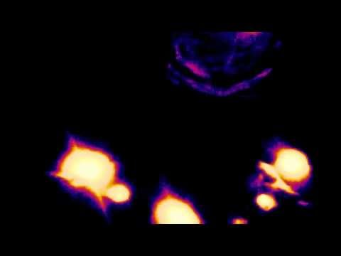 BlaDesa - VBT 2013 Quali