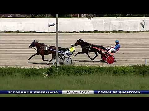 Aversa trotto 12 Aprile 2023 - Prova di qualifica