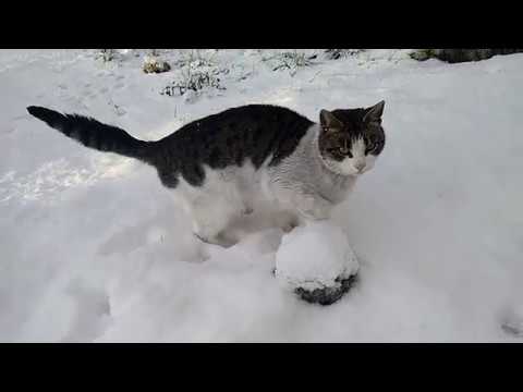 Xiaomi Mi MIX Slow 120 FPS Slow Motion