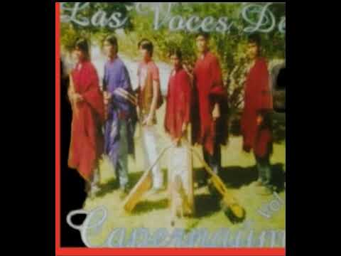 LAS VOCES DE CAPERNAUM DE  INGENIERO JUAREZ FORMOSA VOLUMEN 4 