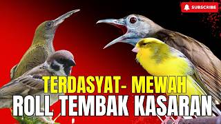 Download lagu MASTERAN TEMBAKAN KASARAN SEJALUR !! KASARAN & JERITAN - CUNGKOK PIJANTUNG SAMPIT BESETAN mp3 Download lagu MASTERAN TEMBAKAN KASARAN SEJALUR !! KASARAN & JERITAN - CUNGKOK PIJANTUNG SAMPIT BESETAN mp3