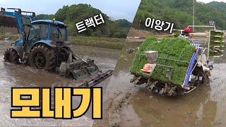농촌의 5월 풍경.. 모내기 (트랙터 물 로타리~ 이앙기 모심기)
