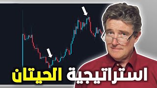 Best Daily Trading Strategy I Use - Whale Strategy!!! Don't Miss It thumbnail