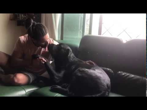 Ashish Insta update : And he is guilty of stealing from the bin #kranti