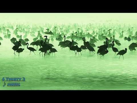 Krewella - Live For The Night (RAGUNDE 2K!7 REBOOT) 432hz [Progressive Trance]