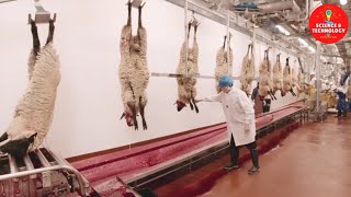 MODERN HIGH-TECH SHEEP SLAUGHTERHOUSE-MUTTON FACTORY PROCESSING -MODERN LIVESTOCK FARMING TECHNOLOGY