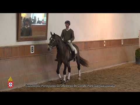 6 Nero D´Atela por Anderson Leite