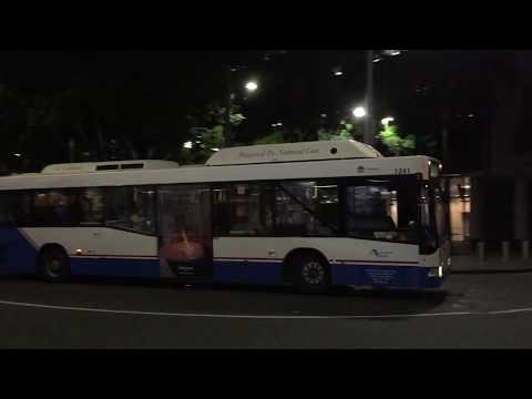 STA Sydney m/o 1241 - Mercedes-Benz O405NH CNG (ZF Kickdown)