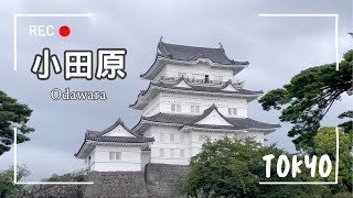 【東京近郊EP5】小田原城、日式百年老宅民宿✨路過箱根半日遊🚗