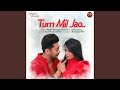 Tum Mil Jao