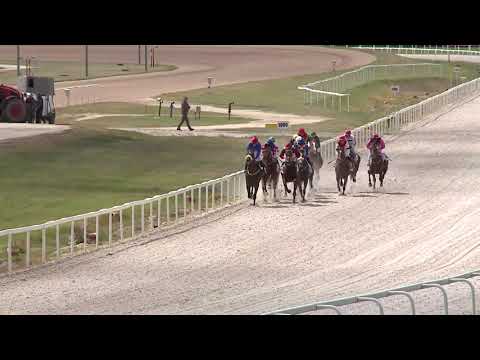 2020.05.31. 02. futam - NYERETLENEK VERSENYE (V.kat.) (szintetikus pálya)