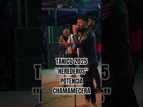 Herederos | Festival del Tanicu, Salavina 2025 P/CH 🎶 ✨️ 🔥 #potenciachamamecera #musica #shortviral
