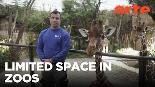 Animal Overcrowding in Zoos | ARTE.tv Documentary