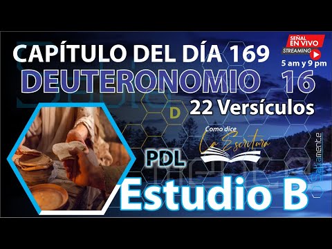 ESTUDIO BÍBLICO │DEUTERONOMIO 16 |  DíA 169