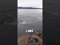 Man Risks It All to Reveal Whirlpool Truth—You Won’t Believe the Result! ⚠️✨