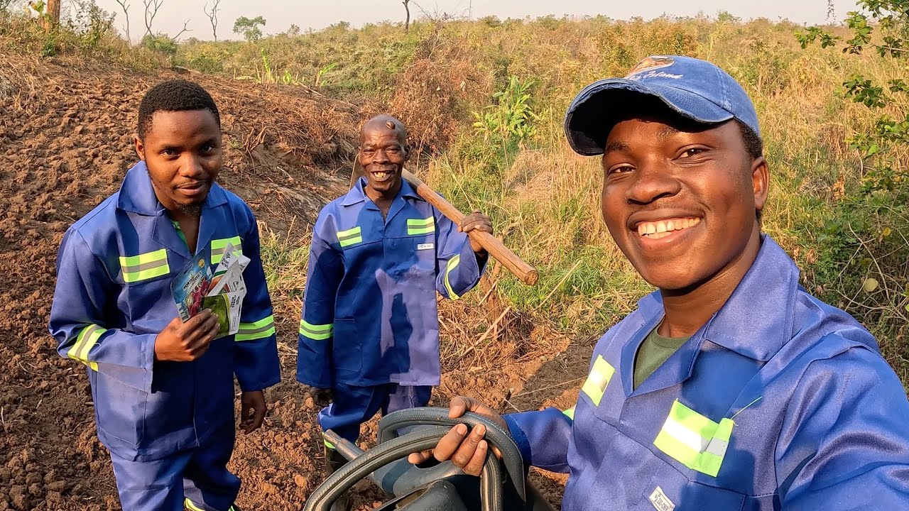 Começamos a Plantar! Nossas Primeiras Sementes na Roça