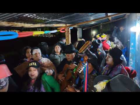 Carnavales en san José 2026 - 3 fajardo 