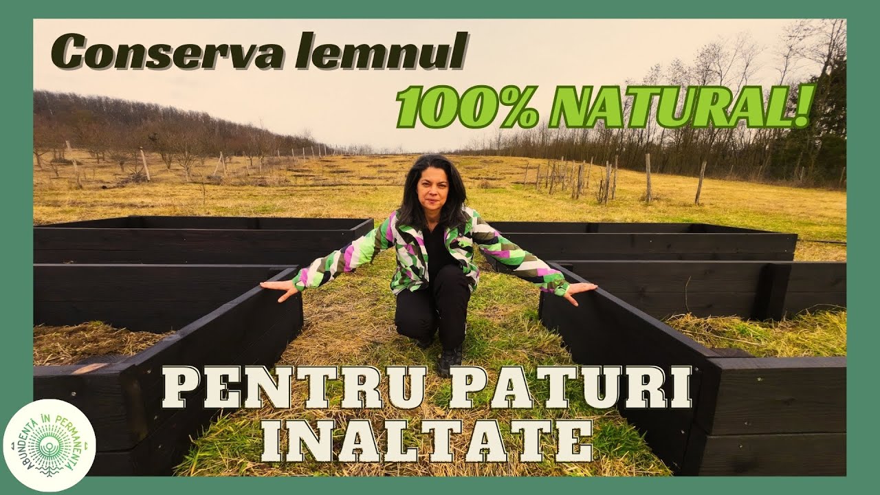 𝐘𝐀𝐊𝐈𝐒𝐔𝐆𝐈 – 𝐏𝐫𝐨𝐭𝐞𝐜𝐭𝐢𝐚 𝐧𝐚𝐭𝐮𝐫𝐚𝐥𝐚 𝐚 𝐥𝐞𝐦𝐧𝐮𝐥𝐮𝐢 𝐜𝐮 𝐨 𝐝𝐮𝐫𝐚𝐛𝐢𝐥𝐢𝐭𝐚𝐭𝐞 𝐞𝐱𝐭𝐫𝐚𝐨𝐫𝐝𝐢𝐧𝐚𝐫𝐚 | 𝐀𝐛𝐮𝐧𝐝𝐞𝐧𝐭𝐚 𝐢𝐧 𝐏𝐞𝐫𝐦𝐚𝐧𝐞𝐧𝐭𝐚