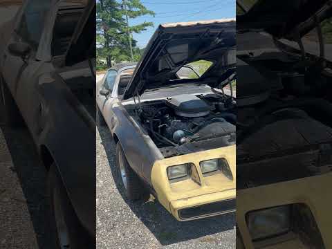 1979 Pontiac Firebird Trans Am SE (CC-1970832) for sale in Greer, South Carolina
