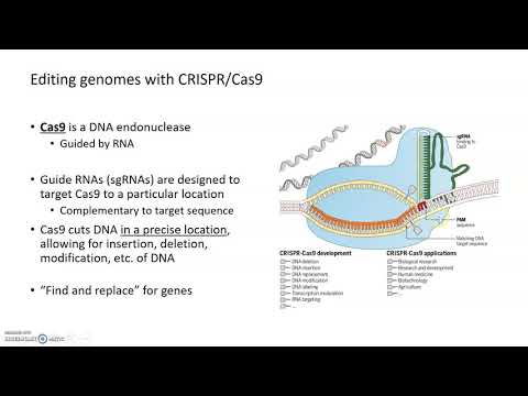 Genetics of Aging: CRISPR and Microarray