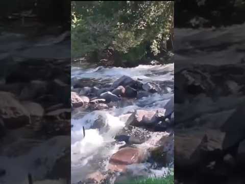 Curarrehue tiene muchos lugares hermosos para visitar antes de cruzar allende los Andes.