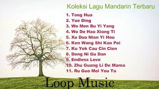Download lagu Kumpulan Lagu Mandarin Terbaru part. 1 mp3