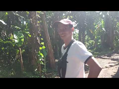 San Augustine Tiaong Quezon 9000sqm (3 titles)