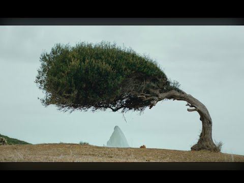 Wala Marra - Jeraneh