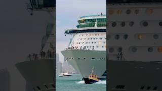 Independence of the Seas 🛳️ #like #share #comment #subscribe #cruiseship #cruise #vacation #shorts