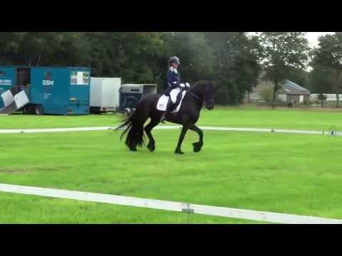 Hedser op de PAVO/FRYSO Bokaal Friese paarden met Dressuuraanleg 15 augustus 2014 te Oldeholtpade