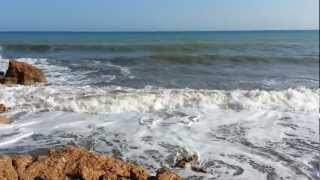 Manel- Captatio Benevolentiae