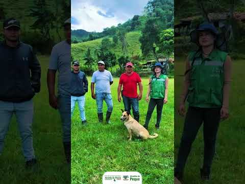 💧🏗️ ¡Seguimos mejorando nuestros acueductos rurales! 🚰🌿