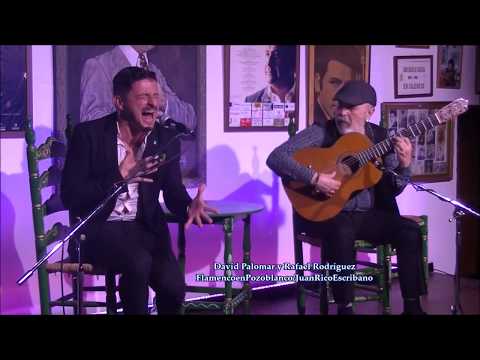 David Palomar y Rafael Rodríguez - Seguiriyas