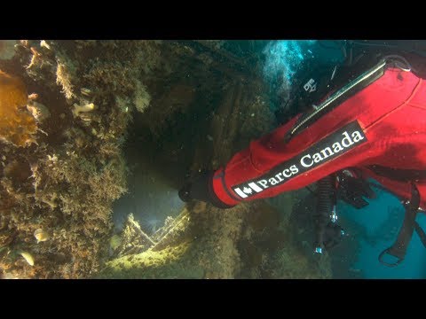170-year-old shipwreck, HMS Terror, in remarkable condition