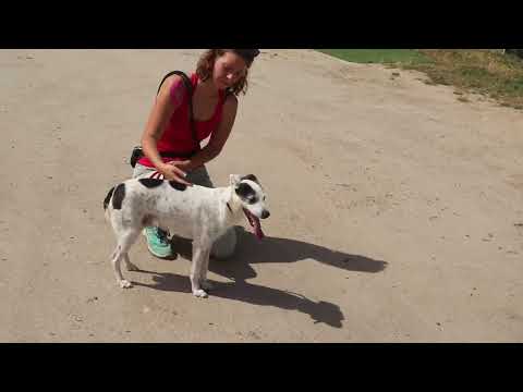 Vídeo de GIO