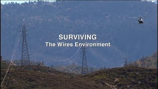 Surviving the Wires Environment