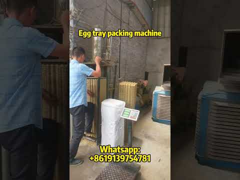 Egg tray packaging machine | reduces the size of egg trays and makes them easier to store and pack