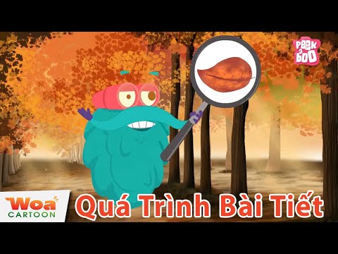Phim hoạt hình Khoa học Hay Nhất 2020