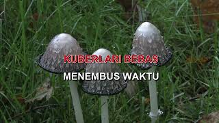 Download lagu KEMBALI SATU KRAKATAU BAND Indonesian Malay Karaoke mp3 Download lagu KEMBALI SATU KRAKATAU BAND Indonesian Malay Karaoke mp3