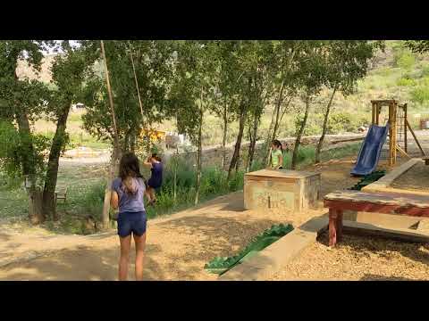 Rope swings from the trees early in the morning when few other folks were around.