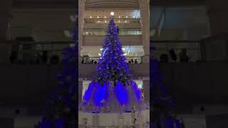 【みなとみらい】ランドマークタワー･クリスマスツリー2019/11/15