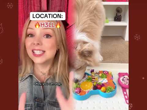 🤣👌👌👌2026 pov Must-Watch Crazy Clips Compilation #humor #fypシ #pov #fyp #foryou #funny 😍😜