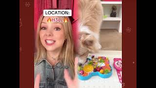 🤣👌👌👌2026 pov Must-Watch Crazy Clips Compilation #humor #fypシ #pov #fyp #foryou #funny 😍😜 MQDEFAULT Thumbnail
