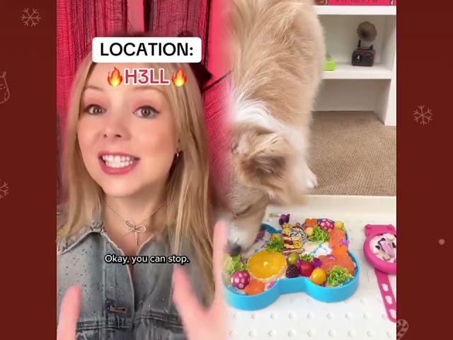 🤣👌👌👌2026 pov Must-Watch Crazy Clips Compilation #humor #fypシ #pov #fyp #foryou #funny 😍😜 SDDEFAULT Thumbnail