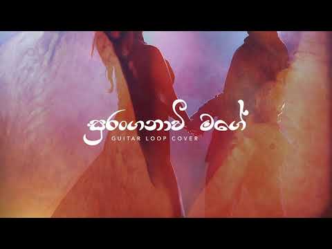 Suranganawee Mage (සුරංගනාවි මගේ) - Guitar Loop Cover - Audio Teaser | Sidath Heenatigala | Siddi
