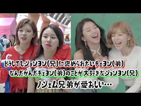 【TWICE】どうしてもジョンヨンに褒められたいチェヨン