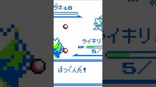 2025年7月29日