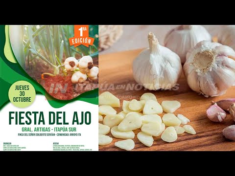 GENERAL ARTIGAS CELEBRARÁ MAÑANA LA FIESTA DEL AJO 2025