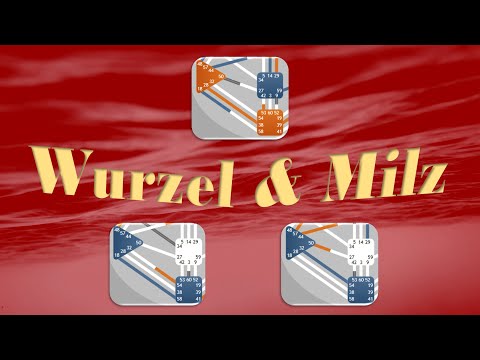 Human Design - Definitionen zwischen Wurzel und Milz = Kanal 58-18 und Kanal 38-28 und Kanal 54-32