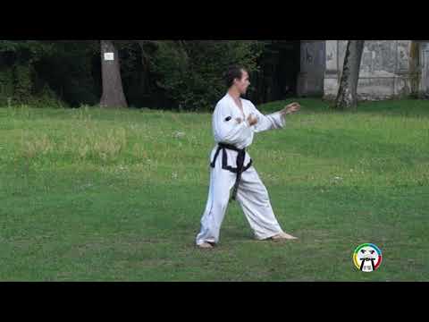 Обучение Хва-Ранг туля(вид сзади), Taekwondo Hwa-Rang (back)